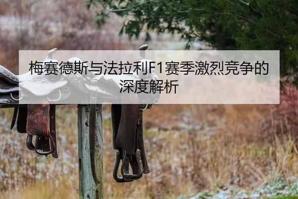 梅赛德斯与法拉利F1赛季激烈竞争的深度解析